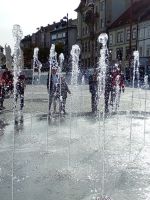 Športni dan Maribor